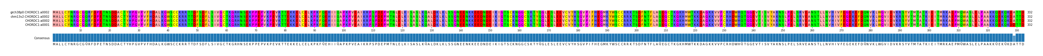 Multiple Alignments (by translate haplotype similarity)
