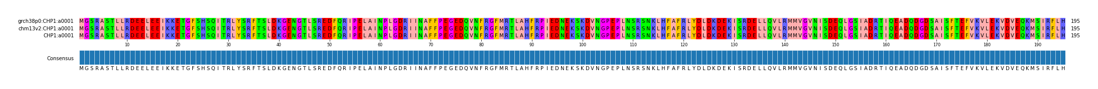 Multiple Alignments (by translate haplotype similarity)