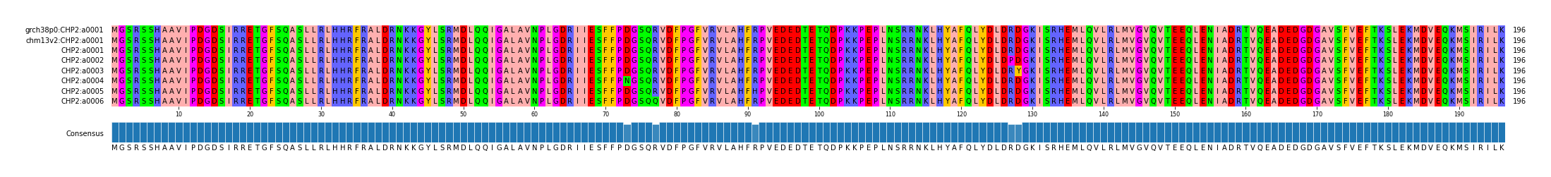Multiple Alignments (by translate haplotype frequency)