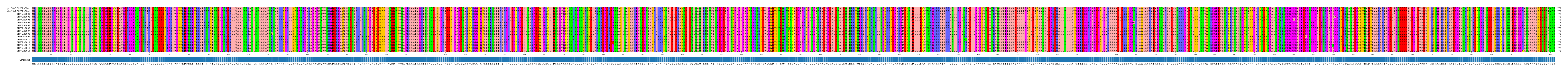 Multiple Alignments (by translate haplotype frequency)
