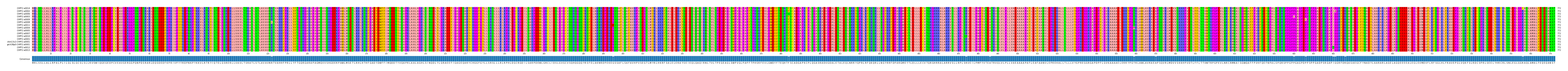 Multiple Alignments (by translate haplotype similarity)