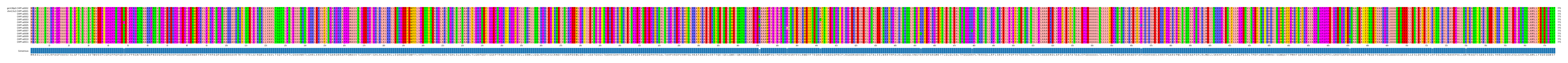 Multiple Alignments (by translate haplotype frequency)