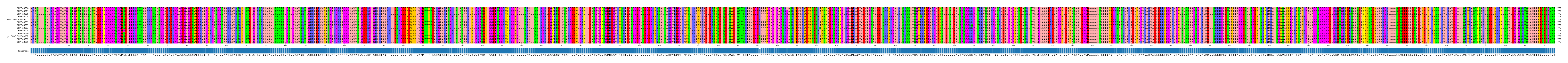 Multiple Alignments (by translate haplotype similarity)