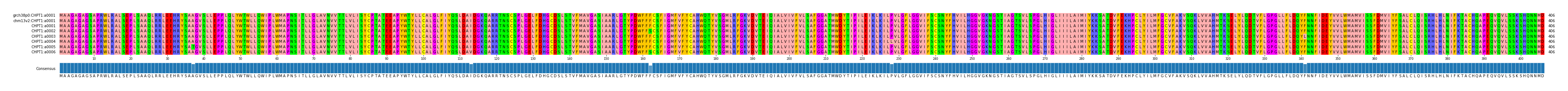 Multiple Alignments (by translate haplotype frequency)