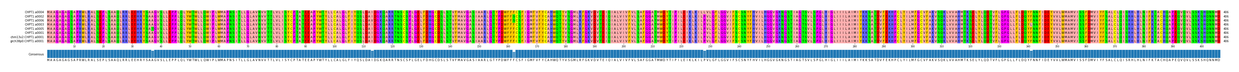 Multiple Alignments (by translate haplotype similarity)
