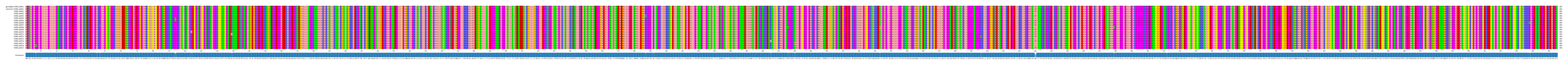 Multiple Alignments (by translate haplotype frequency)
