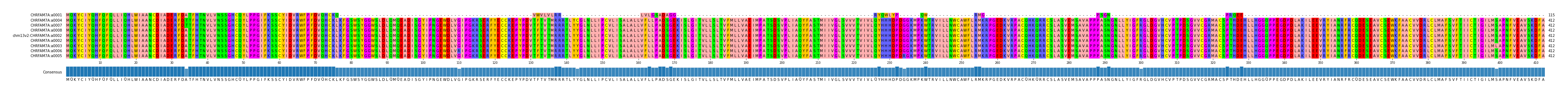 Multiple Alignments (by translate haplotype similarity)