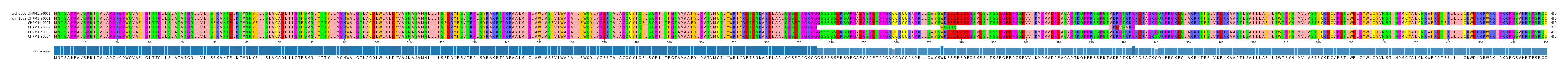 Multiple Alignments (by translate haplotype frequency)