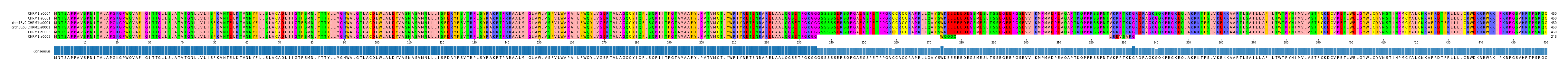 Multiple Alignments (by translate haplotype similarity)
