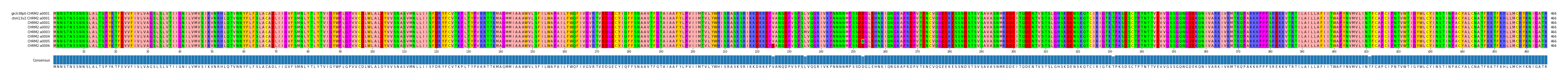 Multiple Alignments (by translate haplotype frequency)
