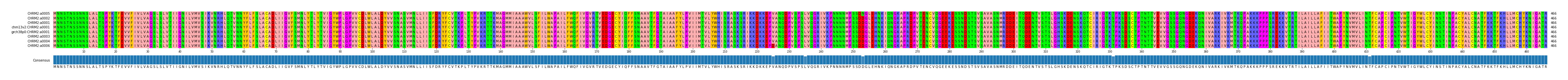 Multiple Alignments (by translate haplotype similarity)