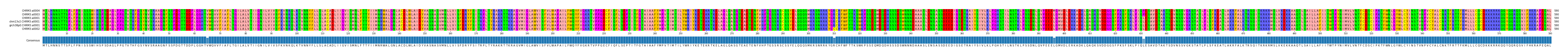 Multiple Alignments (by translate haplotype similarity)