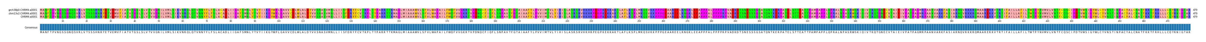 Multiple Alignments (by translate haplotype similarity)