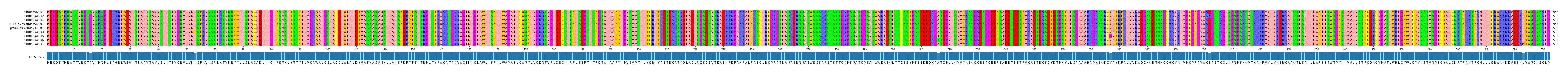 Multiple Alignments (by translate haplotype similarity)