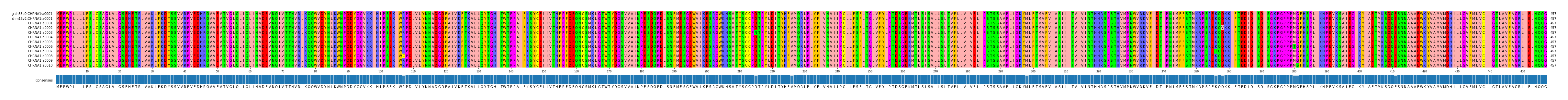 Multiple Alignments (by translate haplotype frequency)