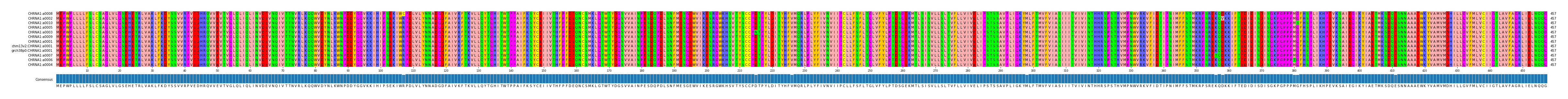 Multiple Alignments (by translate haplotype similarity)