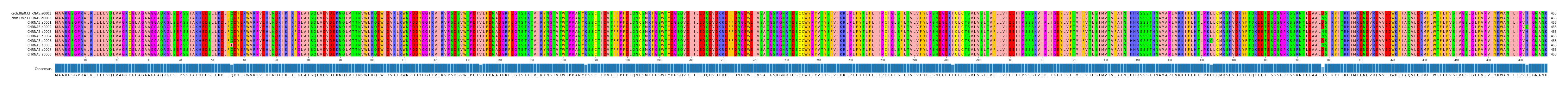 Multiple Alignments (by translate haplotype frequency)