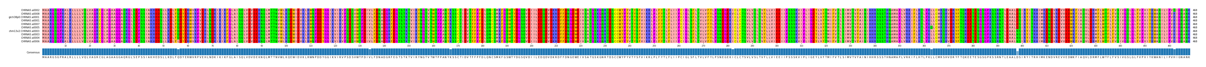 Multiple Alignments (by translate haplotype similarity)