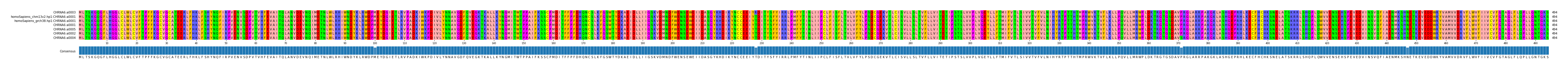 Multiple Alignments (by translate haplotype similarity)