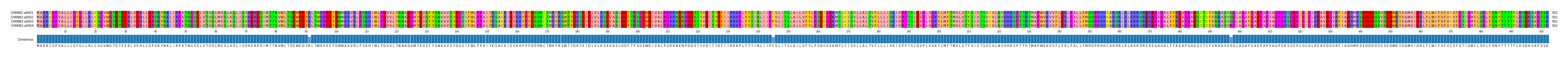 Multiple Alignments (by translate haplotype frequency)