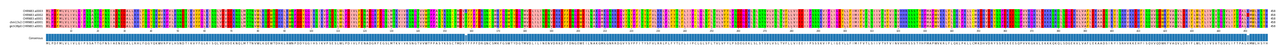 Multiple Alignments (by translate haplotype similarity)