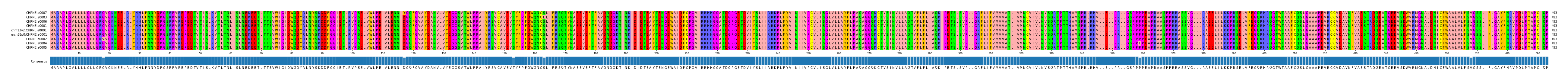 Multiple Alignments (by translate haplotype similarity)