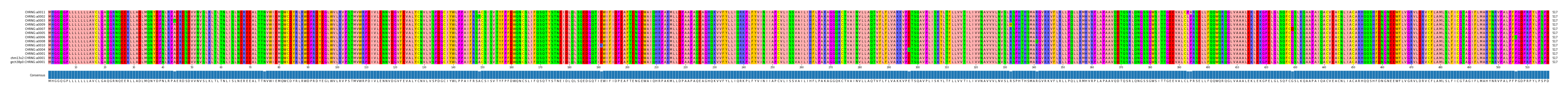 Multiple Alignments (by translate haplotype similarity)