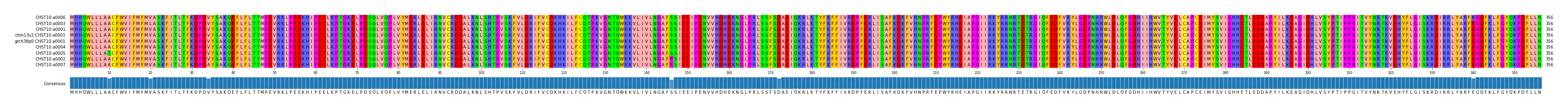 Multiple Alignments (by translate haplotype similarity)