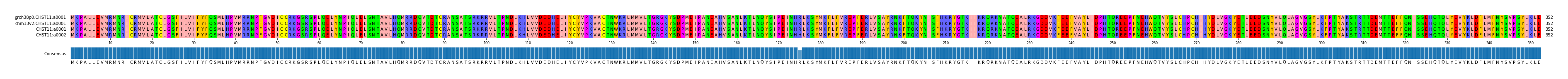 Multiple Alignments (by translate haplotype similarity)