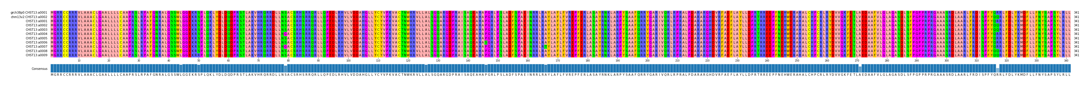 Multiple Alignments (by translate haplotype frequency)