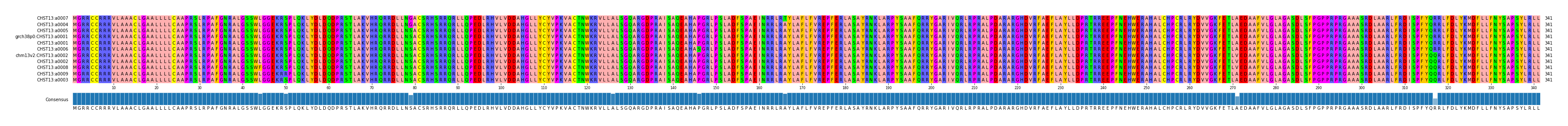 Multiple Alignments (by translate haplotype similarity)