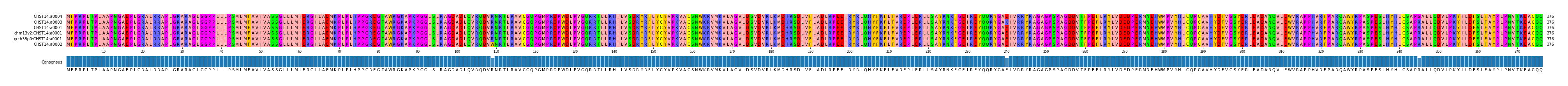 Multiple Alignments (by translate haplotype similarity)