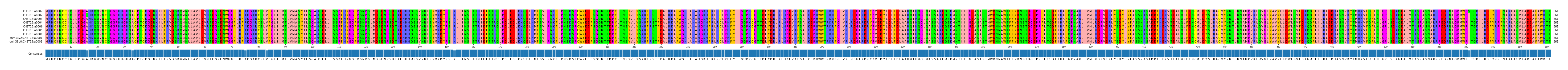 Multiple Alignments (by translate haplotype similarity)