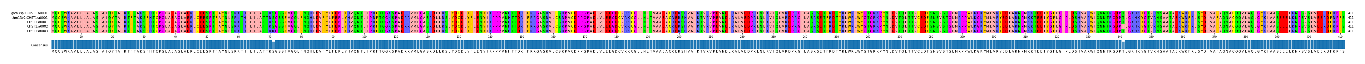 Multiple Alignments (by translate haplotype frequency)