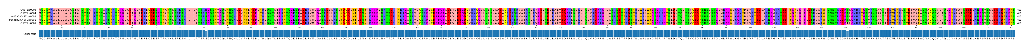 Multiple Alignments (by translate haplotype similarity)
