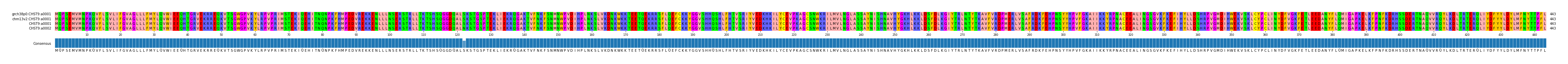 Multiple Alignments (by translate haplotype similarity)