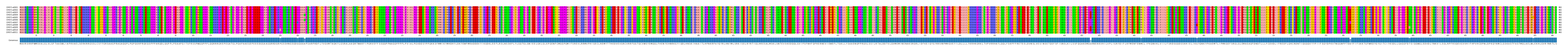 Multiple Alignments (by translate haplotype frequency)