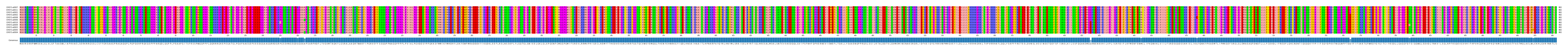 Multiple Alignments (by translate haplotype similarity)