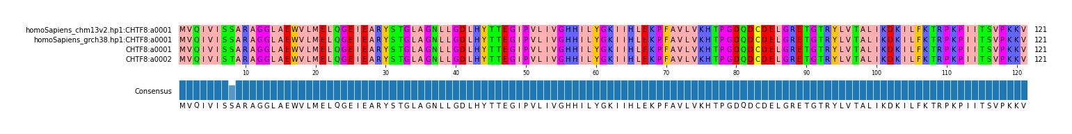 Multiple Alignments (by translate haplotype similarity)