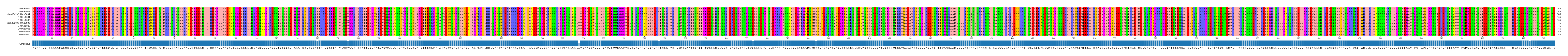 Multiple Alignments (by translate haplotype similarity)