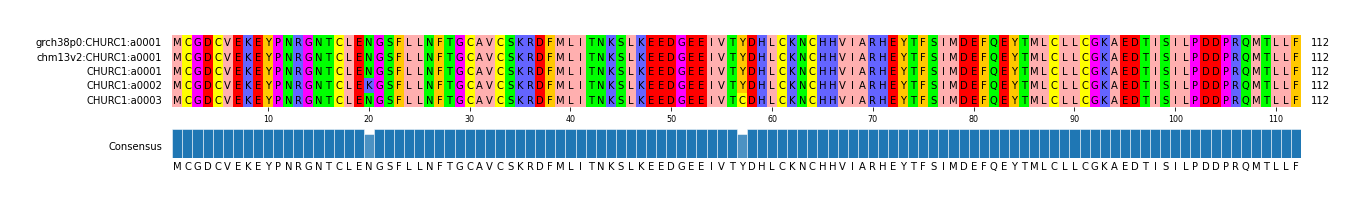 Multiple Alignments (by translate haplotype frequency)