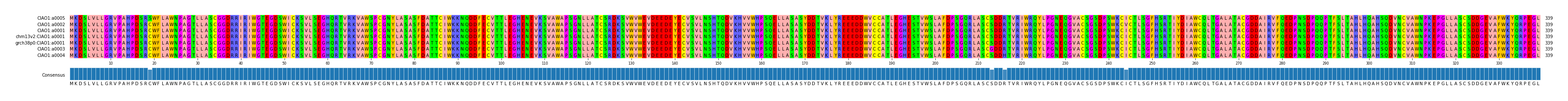 Multiple Alignments (by translate haplotype similarity)
