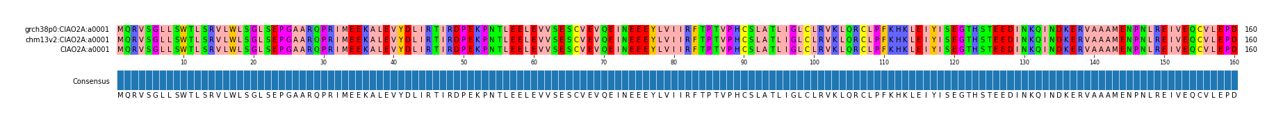 Multiple Alignments (by translate haplotype similarity)