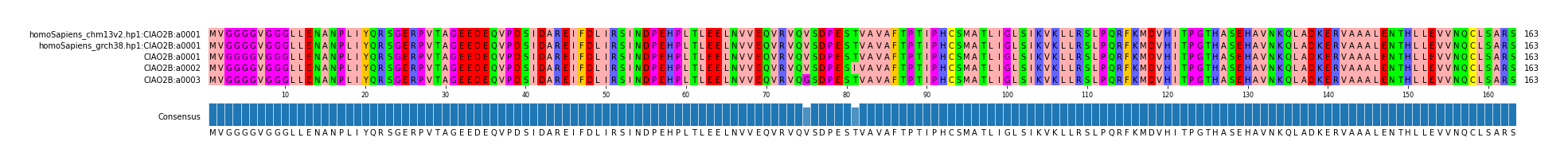 Multiple Alignments (by translate haplotype frequency)
