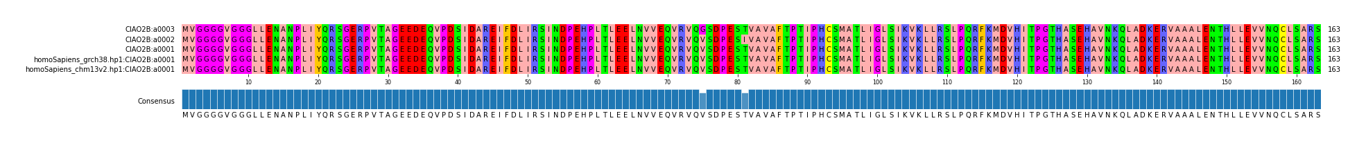 Multiple Alignments (by translate haplotype similarity)