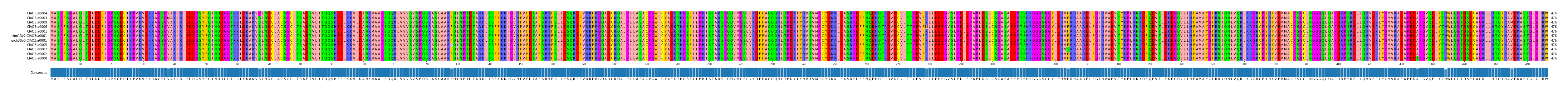 Multiple Alignments (by translate haplotype similarity)