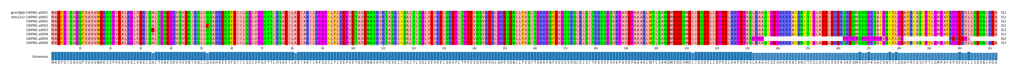 Multiple Alignments (by translate haplotype frequency)