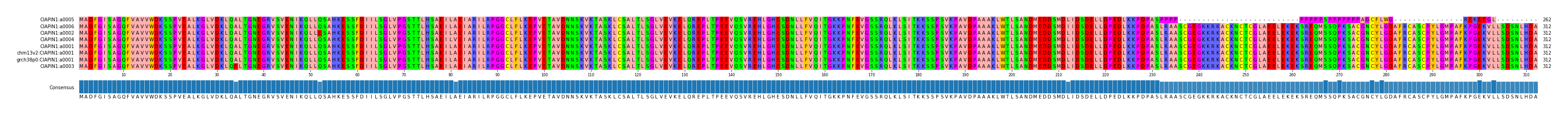 Multiple Alignments (by translate haplotype similarity)