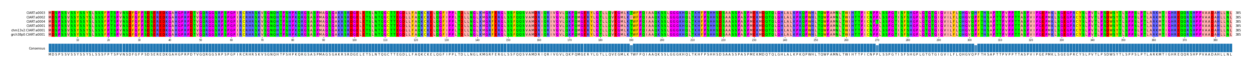 Multiple Alignments (by translate haplotype similarity)