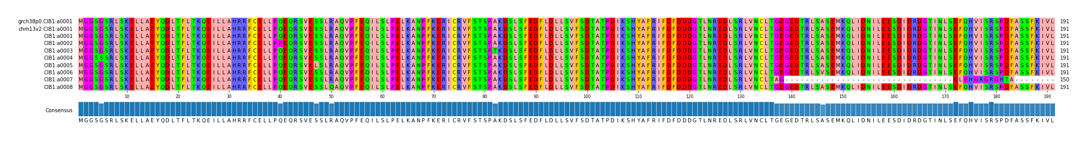 Multiple Alignments (by translate haplotype frequency)